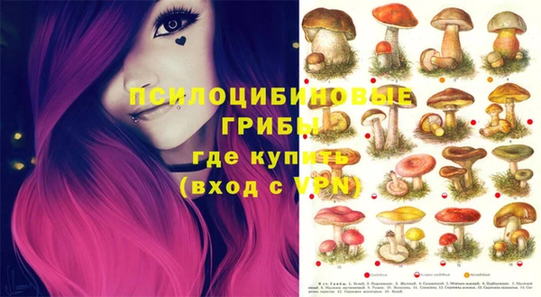 марки nbome Михайловск