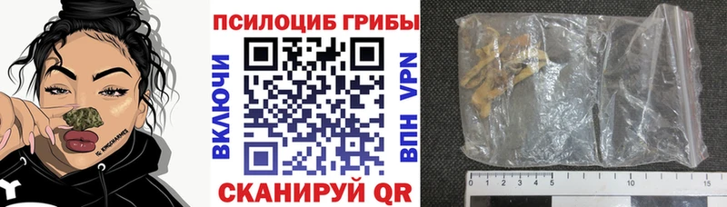 Галлюциногенные грибы ЛСД  дарк нет как зайти  Приморск  где купить наркоту 
