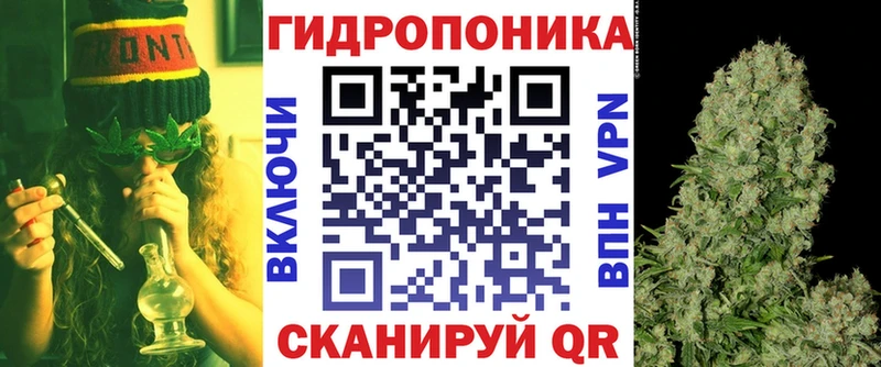 Конопля сатива  Приморск 